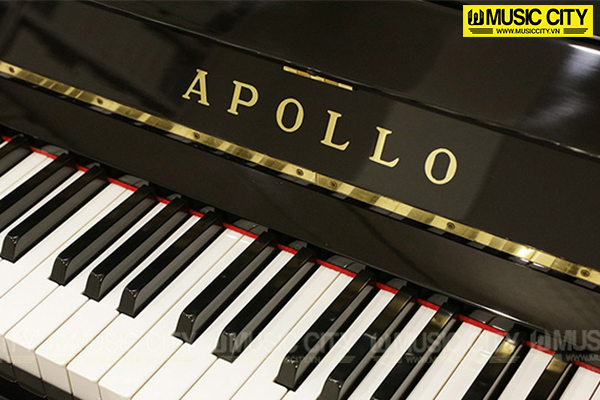 Music City – Tổng Kho Piano, Guitar, Organ | Dịch Vụ Giáo Dục Âm Nhạc