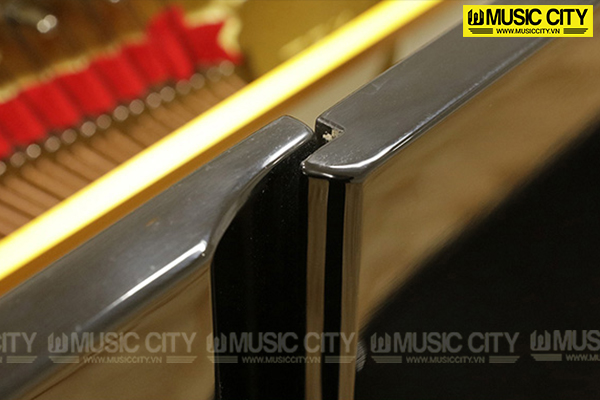 Music City – Tổng Kho Piano, Guitar, Organ | Dịch Vụ Giáo Dục Âm Nhạc