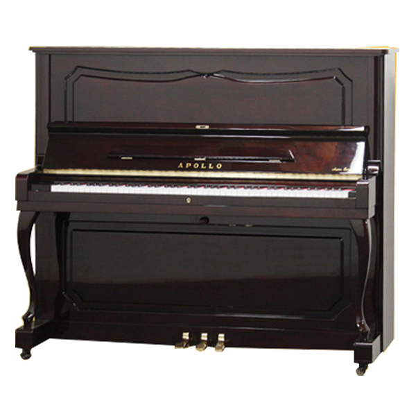 Music City – Tổng Kho Piano, Guitar, Organ | Dịch Vụ Giáo Dục Âm Nhạc