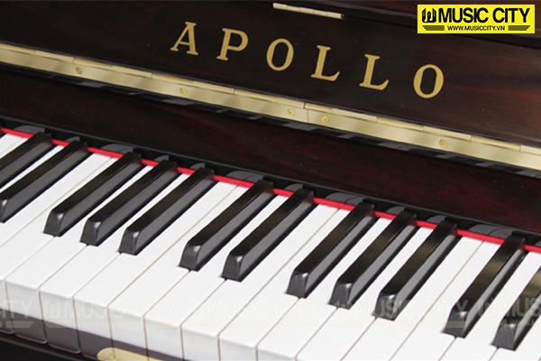 Hình ảnh Đàn Piano Apollo RU80 tại Music City