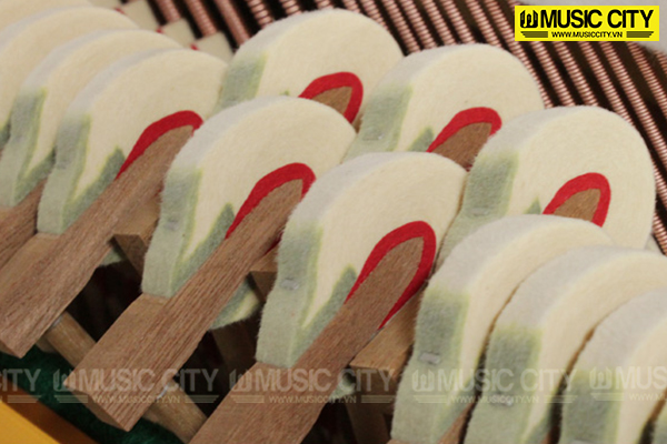 Music City – Tổng Kho Piano, Guitar, Organ | Dịch Vụ Giáo Dục Âm Nhạc
