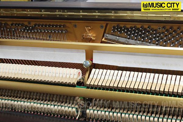 Music City – Tổng Kho Piano, Guitar, Organ | Dịch Vụ Giáo Dục Âm Nhạc