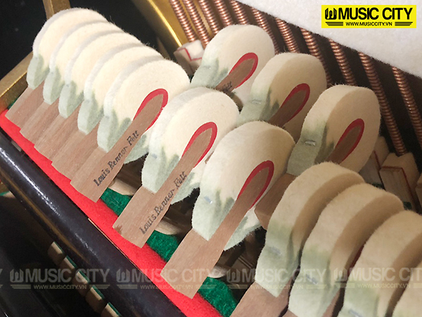 Music City – Tổng Kho Piano, Guitar, Organ | Dịch Vụ Giáo Dục Âm Nhạc