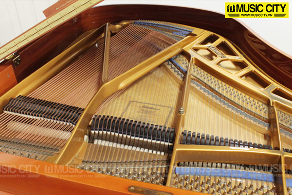 Music City – Tổng Kho Piano, Guitar, Organ | Dịch Vụ Giáo Dục Âm Nhạc