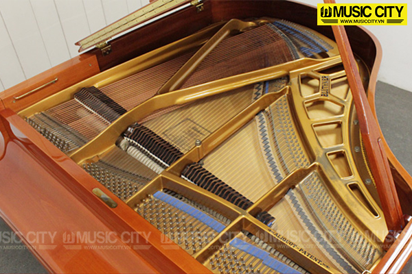 Music City – Tổng Kho Piano, Guitar, Organ | Dịch Vụ Giáo Dục Âm Nhạc