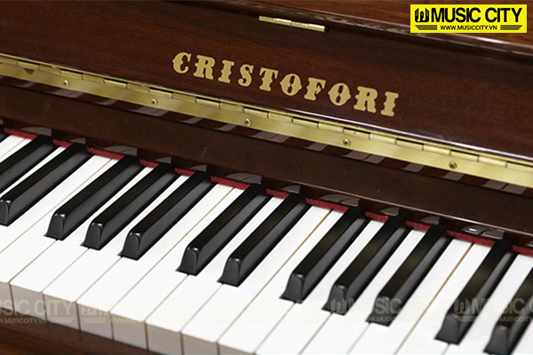 Music City – Tổng Kho Piano, Guitar, Organ | Dịch Vụ Giáo Dục Âm Nhạc