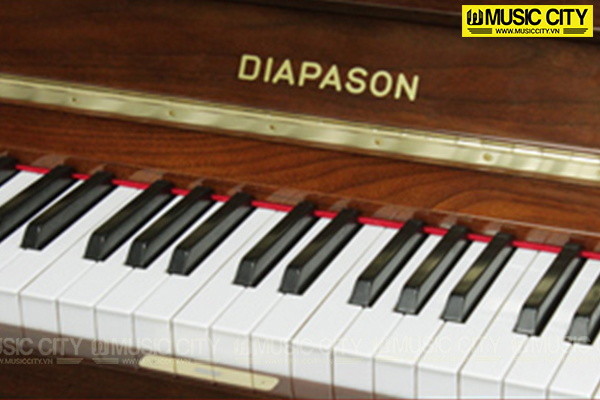 Music City – Tổng Kho Piano, Guitar, Organ | Dịch Vụ Giáo Dục Âm Nhạc