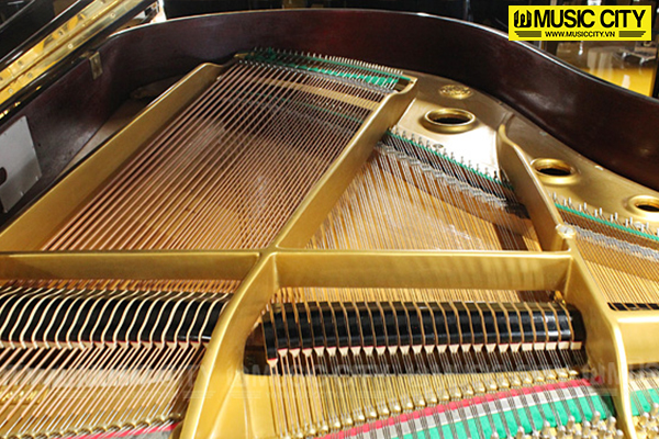 Music City – Tổng Kho Piano, Guitar, Organ | Dịch Vụ Giáo Dục Âm Nhạc