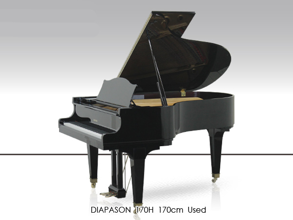 Hình ảnh Đàn Grand Diapason 170H tại Music City