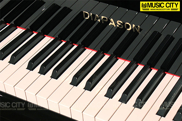 Music City – Tổng Kho Piano, Guitar, Organ | Dịch Vụ Giáo Dục Âm Nhạc