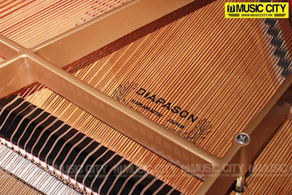 Music City – Tổng Kho Piano, Guitar, Organ | Dịch Vụ Giáo Dục Âm Nhạc