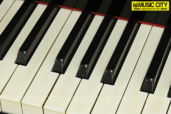 Music City – Tổng Kho Piano, Guitar, Organ | Dịch Vụ Giáo Dục Âm Nhạc