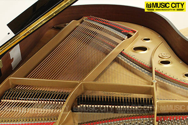 Music City – Tổng Kho Piano, Guitar, Organ | Dịch Vụ Giáo Dục Âm Nhạc