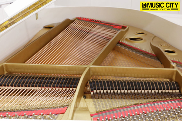 Hình ảnh Đàn Grand Diapason 183E WH tại Music City Hình ảnh Đàn Grand Diapason 183E WH tại Music City