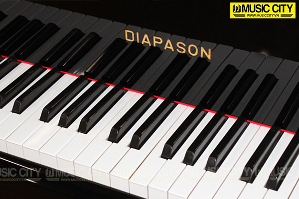 Hình ảnh Đàn Grand Diapason 183H tại Music City Hình ảnh Đàn Grand Diapason 183H tại Music City