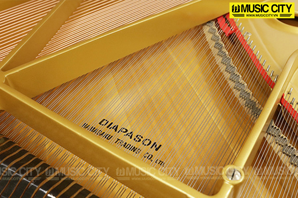 Music City – Tổng Kho Piano, Guitar, Organ | Dịch Vụ Giáo Dục Âm Nhạc