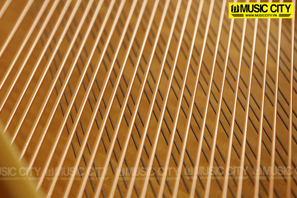 Music City – Tổng Kho Piano, Guitar, Organ | Dịch Vụ Giáo Dục Âm Nhạc