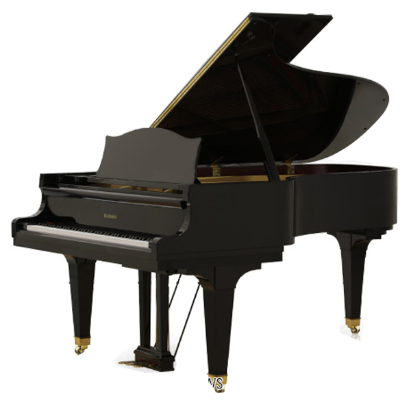 Hình ảnh Đàn Grand Diapason 210WS tại Music City