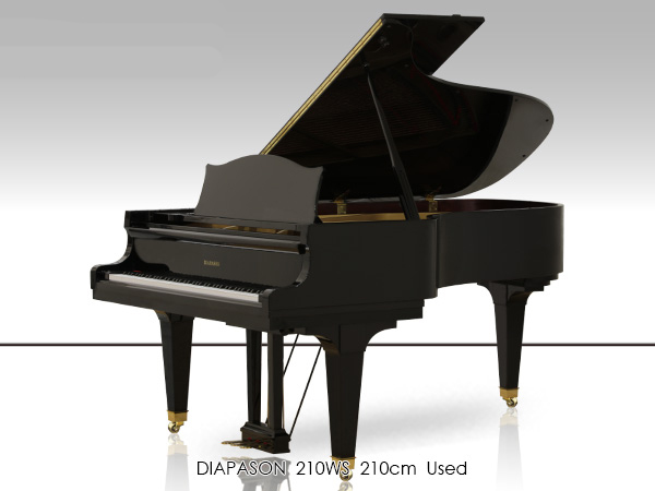 Hình ảnh Đàn Grand Diapason 210WS tại Music City