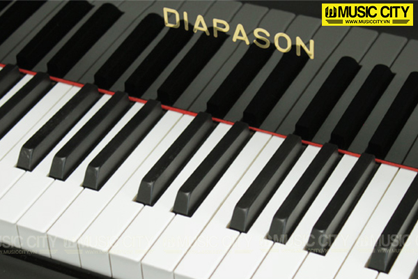 Hình ảnh Đàn Grand Diapason 210WS tại Music City