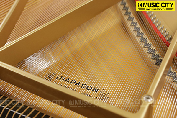 Hình ảnh Đàn Grand Diapason 210WS tại Music City