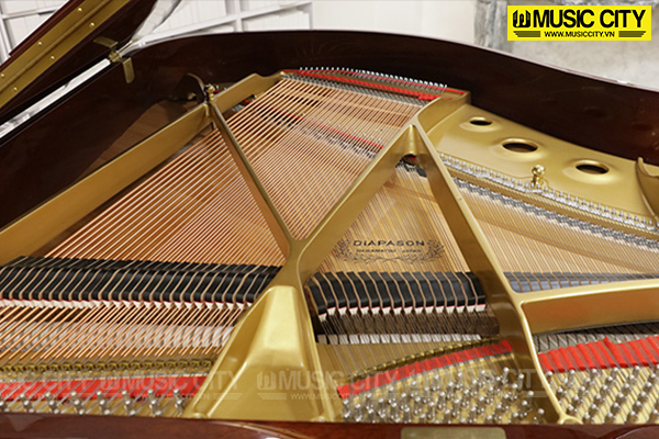 Music City – Tổng Kho Piano, Guitar, Organ | Dịch Vụ Giáo Dục Âm Nhạc