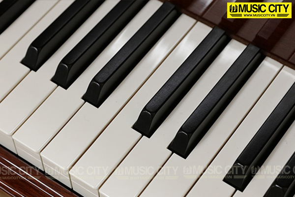 Hình ảnh Đàn Grand Diapason D164F tại Music City