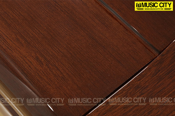 Music City – Tổng Kho Piano, Guitar, Organ | Dịch Vụ Giáo Dục Âm Nhạc