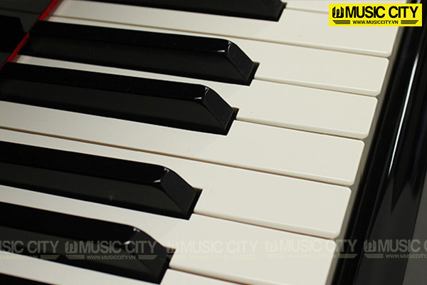 Music City – Tổng Kho Piano, Guitar, Organ | Dịch Vụ Giáo Dục Âm Nhạc