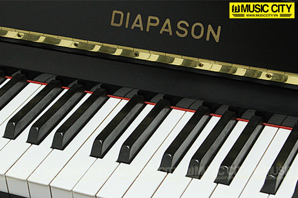 Music City – Tổng Kho Piano, Guitar, Organ | Dịch Vụ Giáo Dục Âm Nhạc