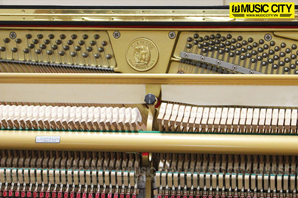 Music City – Tổng Kho Piano, Guitar, Organ | Dịch Vụ Giáo Dục Âm Nhạc