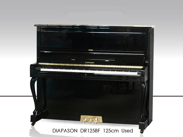 Music City – Tổng Kho Piano, Guitar, Organ | Dịch Vụ Giáo Dục Âm Nhạc