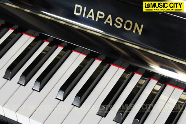 Music City – Tổng Kho Piano, Guitar, Organ | Dịch Vụ Giáo Dục Âm Nhạc