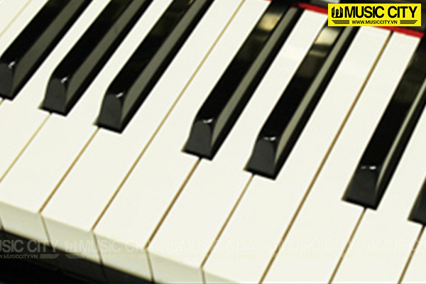 Music City – Tổng Kho Piano, Guitar, Organ | Dịch Vụ Giáo Dục Âm Nhạc