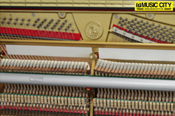 Music City – Tổng Kho Piano, Guitar, Organ | Dịch Vụ Giáo Dục Âm Nhạc