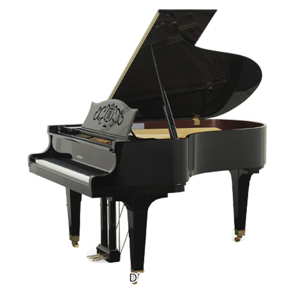 Hình ảnh Đàn Grand Diapason DR300 tại Music City