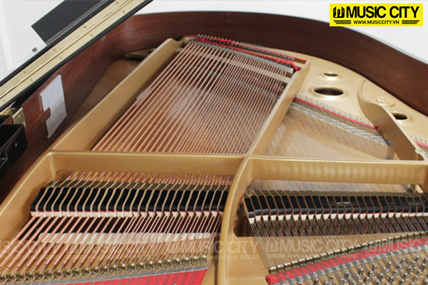 Music City – Tổng Kho Piano, Guitar, Organ | Dịch Vụ Giáo Dục Âm Nhạc