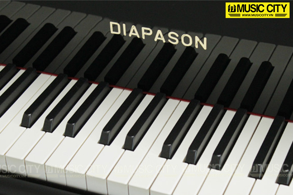Hình ảnh Đàn Grand Diapason DR300 tại Music City
