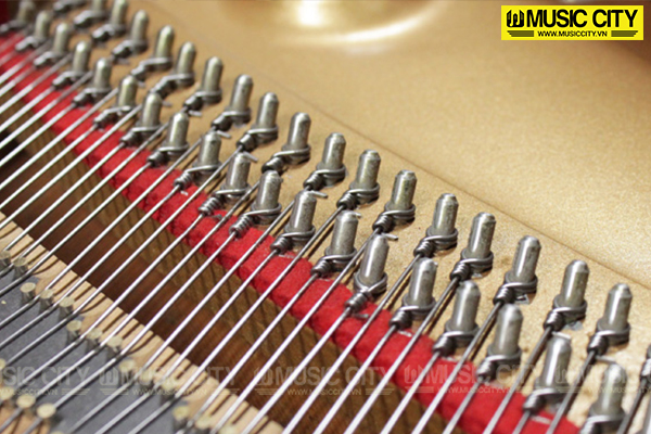 Music City – Tổng Kho Piano, Guitar, Organ | Dịch Vụ Giáo Dục Âm Nhạc