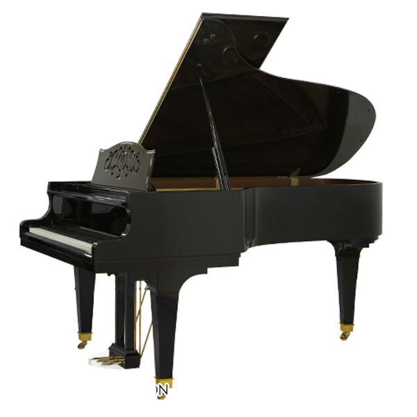 Hình ảnh Đàn Grand Diapason DR500 tại Music City Hình ảnh Đàn Grand Diapason DR500 tại Music City
