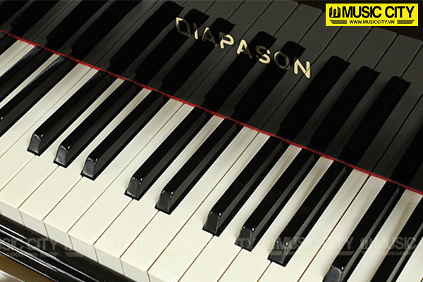 Music City – Tổng Kho Piano, Guitar, Organ | Dịch Vụ Giáo Dục Âm Nhạc