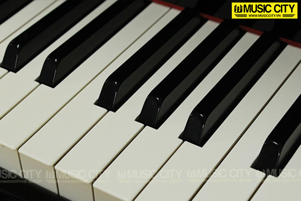 Music City – Tổng Kho Piano, Guitar, Organ | Dịch Vụ Giáo Dục Âm Nhạc