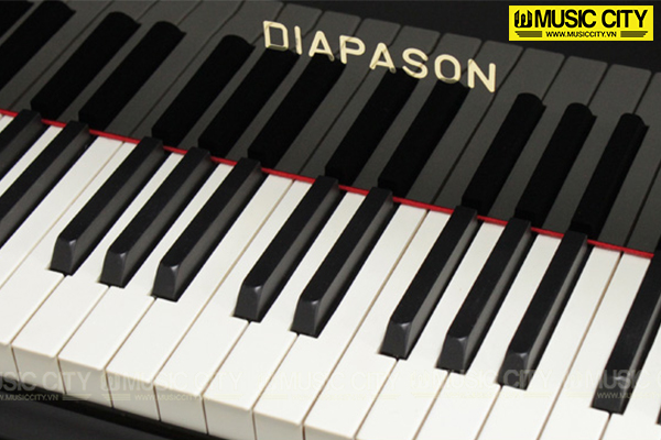 Music City – Tổng Kho Piano, Guitar, Organ | Dịch Vụ Giáo Dục Âm Nhạc