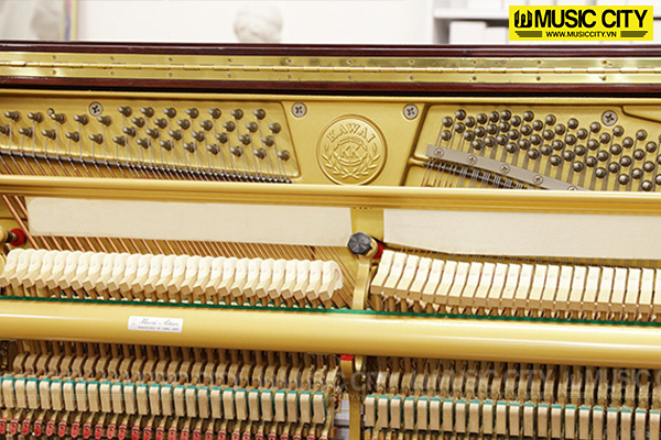 Music City – Tổng Kho Piano, Guitar, Organ | Dịch Vụ Giáo Dục Âm Nhạc
