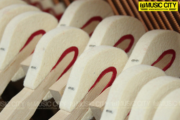 Music City – Tổng Kho Piano, Guitar, Organ | Dịch Vụ Giáo Dục Âm Nhạc