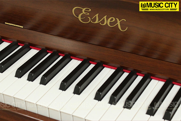 Music City – Tổng Kho Piano, Guitar, Organ | Dịch Vụ Giáo Dục Âm Nhạc