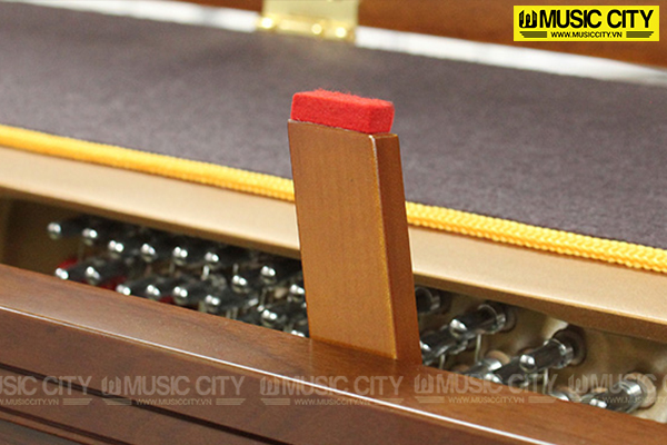 Music City – Tổng Kho Piano, Guitar, Organ | Dịch Vụ Giáo Dục Âm Nhạc
