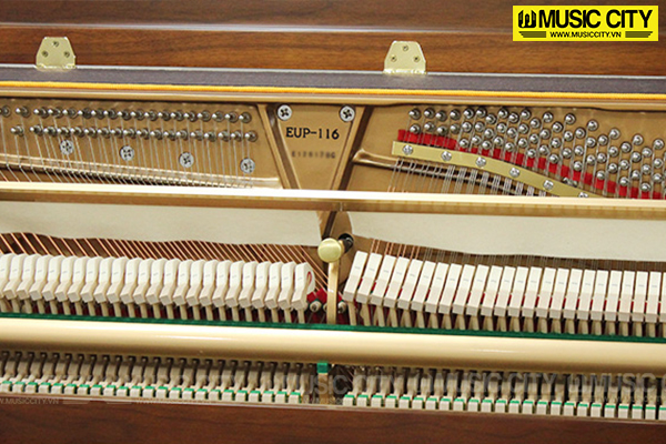 Music City – Tổng Kho Piano, Guitar, Organ | Dịch Vụ Giáo Dục Âm Nhạc