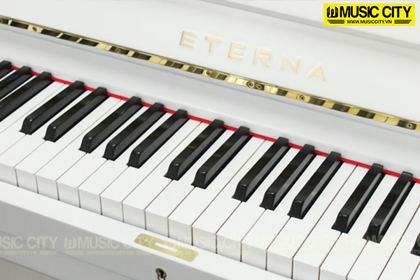 Music City – Tổng Kho Piano, Guitar, Organ | Dịch Vụ Giáo Dục Âm Nhạc