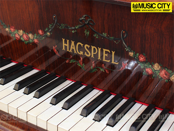 Hình ảnh Đàn Grand Hagspiel 153 tại Music City Hình ảnh Đàn Grand Hagspiel 153 tại Music City